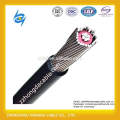 2 * 4AWG + 4AWG, 2 * 8AWG, 2 * 10AWG, 8000 series de aleación de aluminio conductor blindado XLPE / PVC cable eléctrico concéntrico de aislamiento